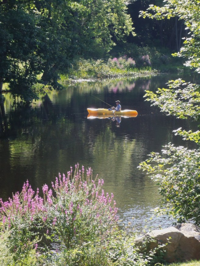 The Salmon Falls River does more than separate New Hampshire and Maine. We won't quibble which set of fishing laws apply here.