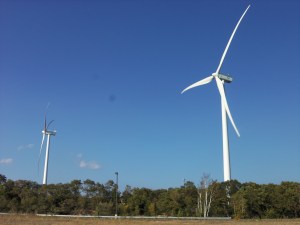 The trees might give you an idea of the scale and majesty of these Cape Ann landmarks.