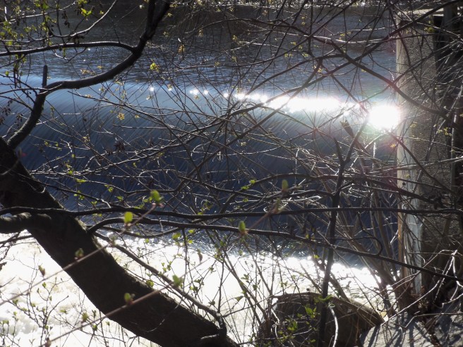 The Charles River flows through Watertown, Massachusetts.