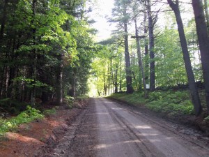I encountered the critter at the top of this incline while walking in Henniker, New Hampshire.