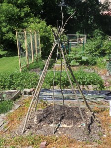 Here's a little perspective.