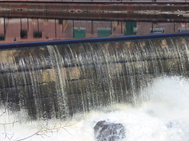 The water's not always this clear. Often it's tinted yellow with tannin from the evergreen needles upstream.