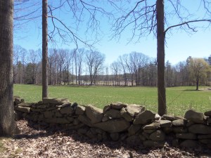 The resting spot is in the right side of the view.