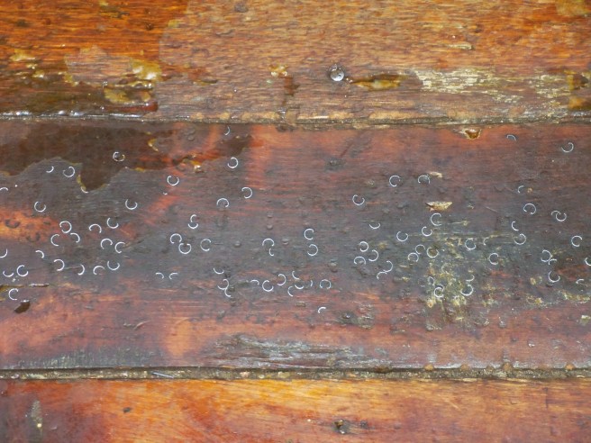 The old floors are fascinating, reflecting years of use. Often, they're embedded with the impressions of grommets or other materials that fell in the course of labor.
