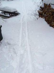The cross-country skis get a workout even in an urban side yard. Here's part of my trail.