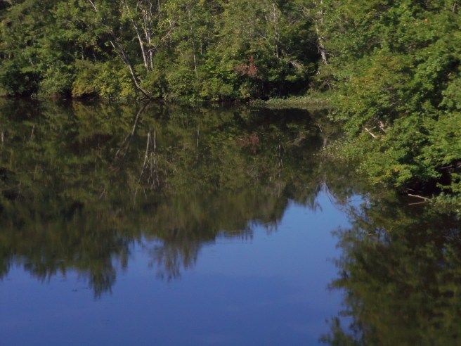 The Cocheco River viewed from the footbridge on the community trail has become a favorite spot for my camera. Here's part of the scene as I was walking to meeting for worship on Sunday morning.