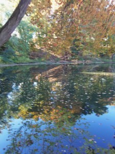 A quiet corner on the Cocheco River. 