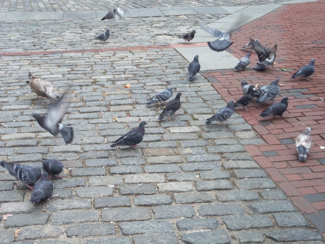 You'd think they own the place.