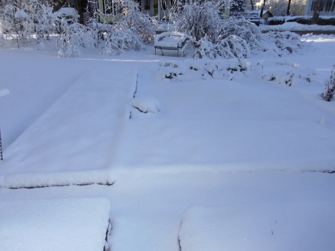 I like having the raised garden beds to be covered by a blanket of snow, especially when the thermometer plummets. The wrought iron loveseat by the bushes is one way I easily calculate the depth of our snowfall. I'm wondering how soon before it's completely buried.