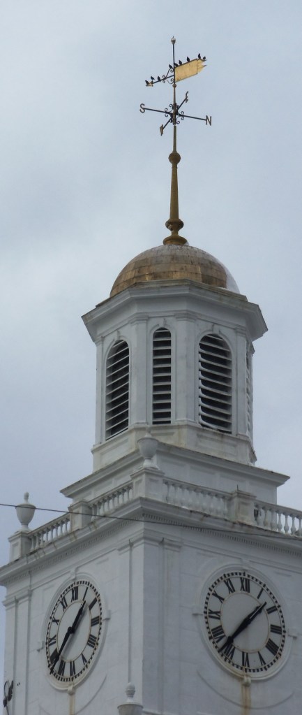 I love seeing birds perched atop a prominent weather vane. 