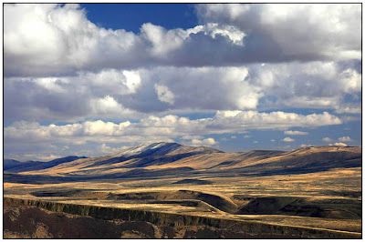 Yakima Desert
