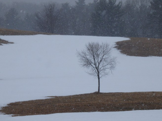 Rollinsford, New Hampshire