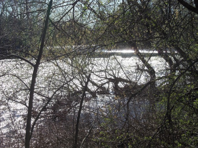 Watertown, Massachusetts