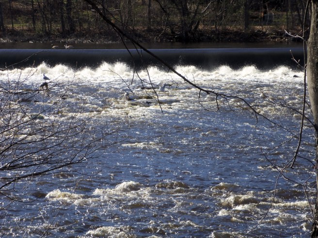 Watertown, Massachusetts