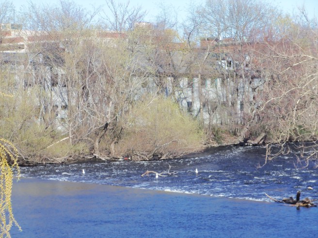 Watertown, Massachusetts