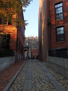 A quiet break in a crowded neighborhood.