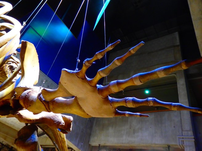 And you knew all along it was a flipper, right?