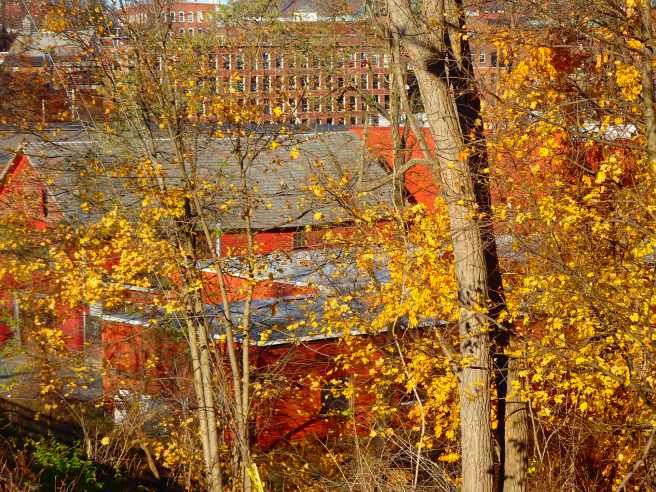 The color suits our settlements. 