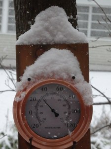 Looks like white-painted architectural touches to me. 