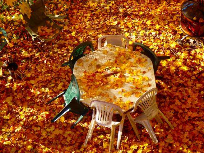 Our season of outdoor dining is just about ended. 