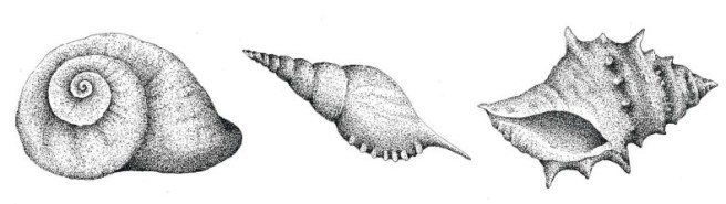 Let’s crack into shellfish – Jnana's Red Barn